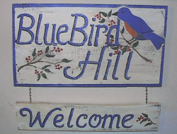 blubirdhill.jpg