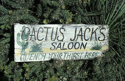 cactusjacksaloon.jpg